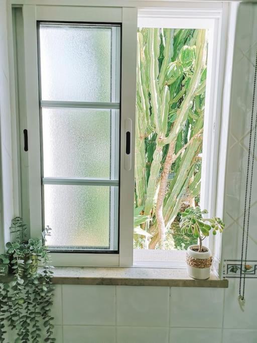 Green Ville Faro Ngoại thất bức ảnh